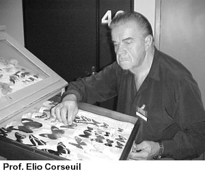 Elio Corseuil